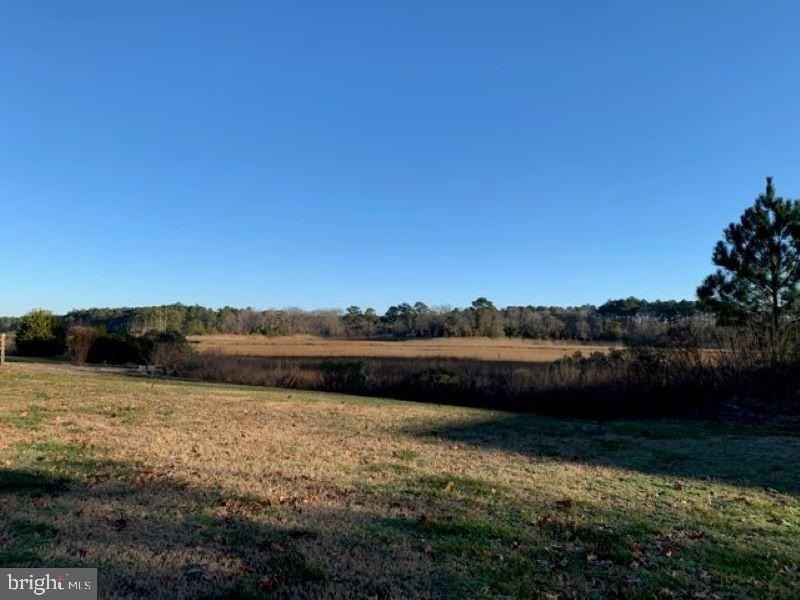 34039 Pack Horse Dr - Photo 4 of 18