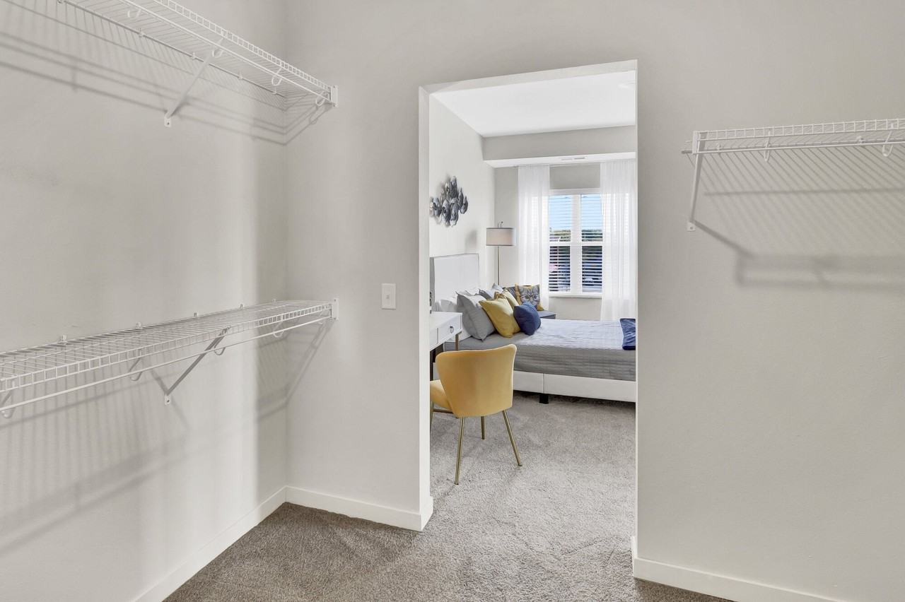 Novo - Photo 2 of 21