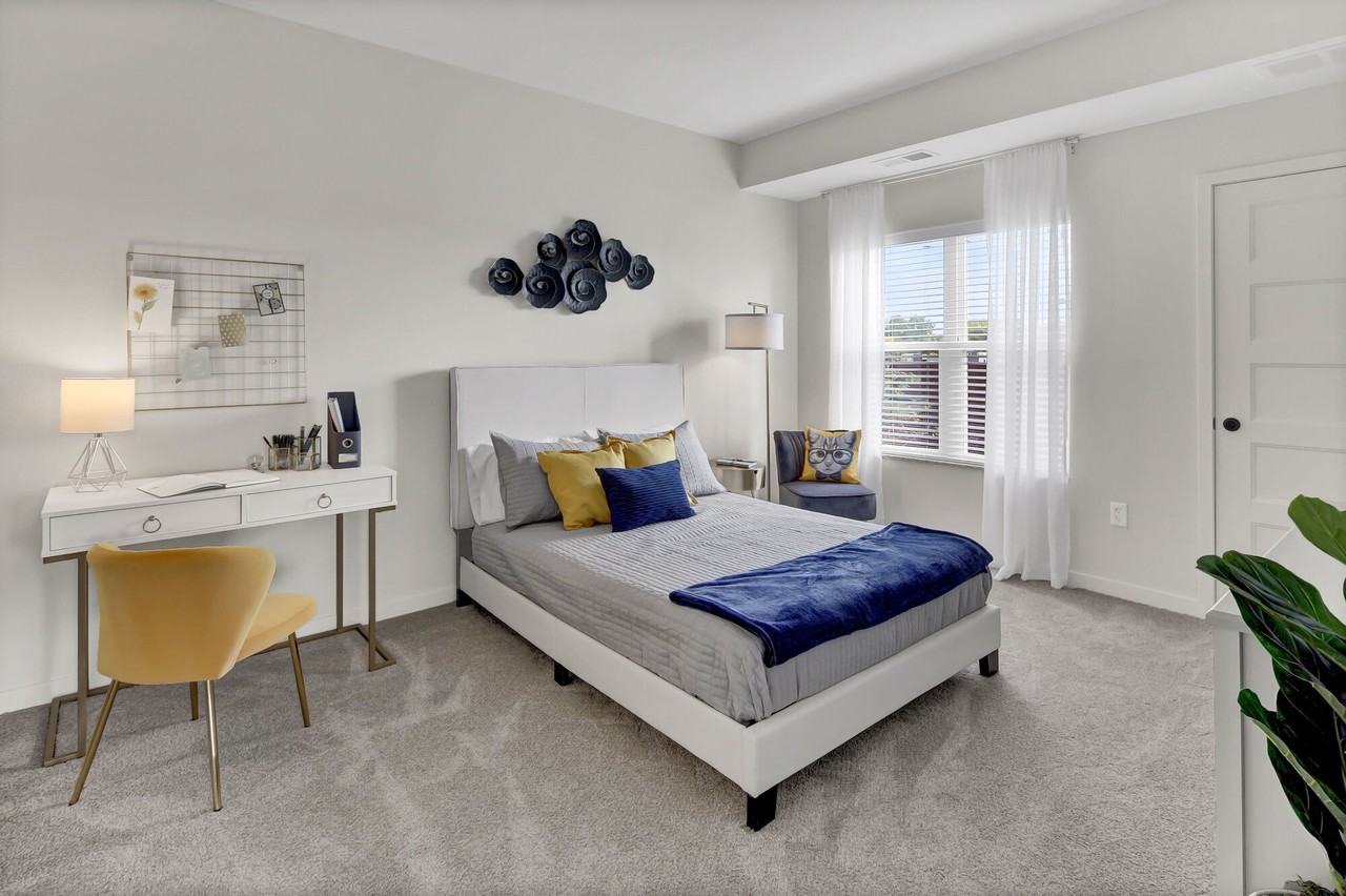 Novo - Photo 6 of 21