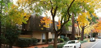 gstr23 - Photo 1 of 1