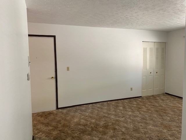 401 Tracy Ln #14 - Photo 5 of 16