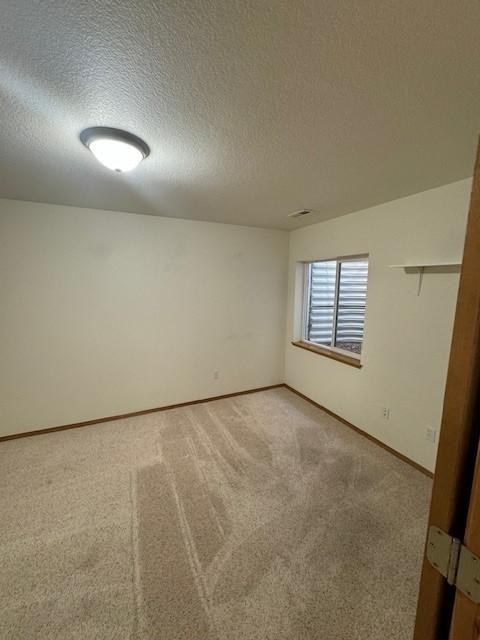 7079 Vasalias Hts - Photo 6 of 20