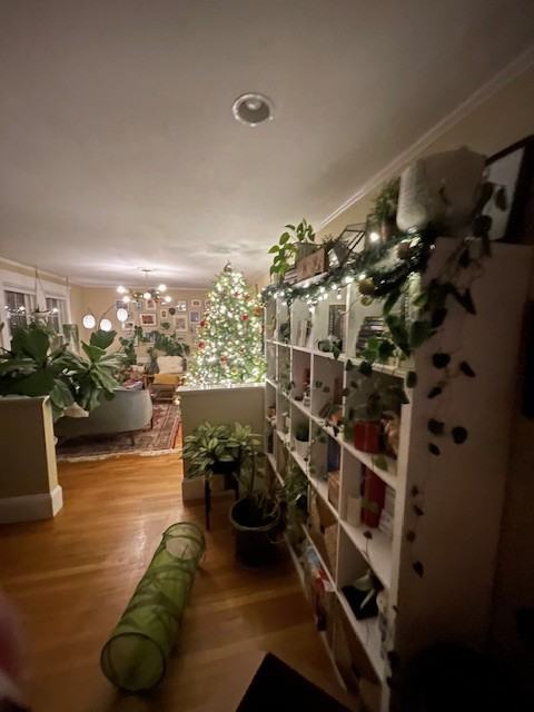 88 Warwick Rd #1 - Photo 3 of 14