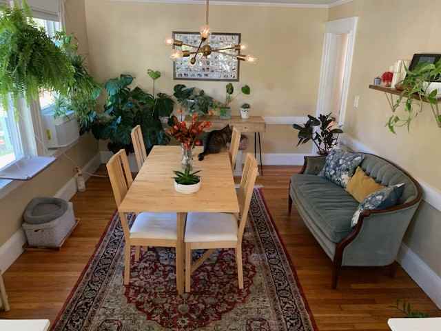 88 Warwick Rd #1 - Photo 5 of 14