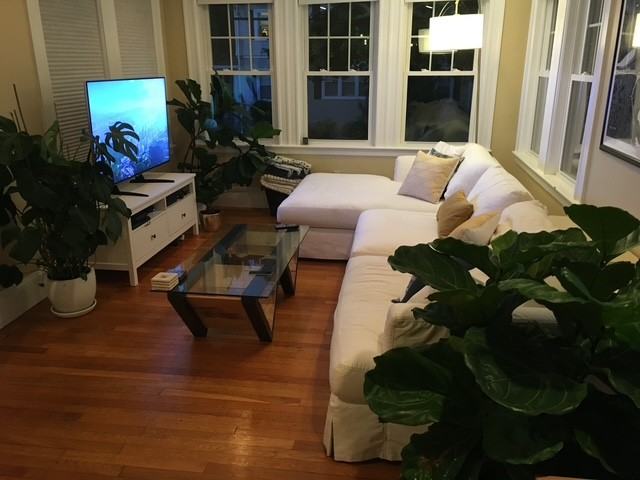 88 Warwick Rd #1 - Photo 6 of 14