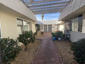 Palmacia - Photo 1 of 1