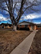 Cozy & Convenient Home in the Heart of Broomfield - Photo 1 of 1