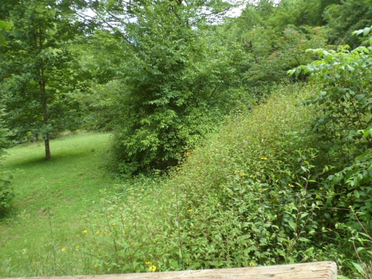 1349 Firefly Rd - Photo 6 of 11