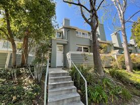 774 Halevy St - Photo 1 of 1