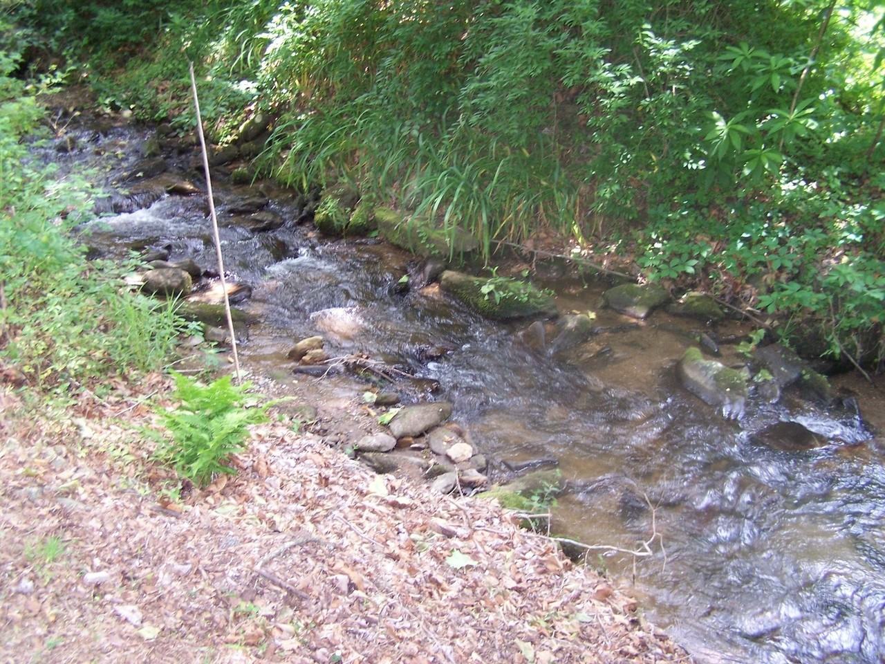 37 Shasta Dr - Photo 5 of 14