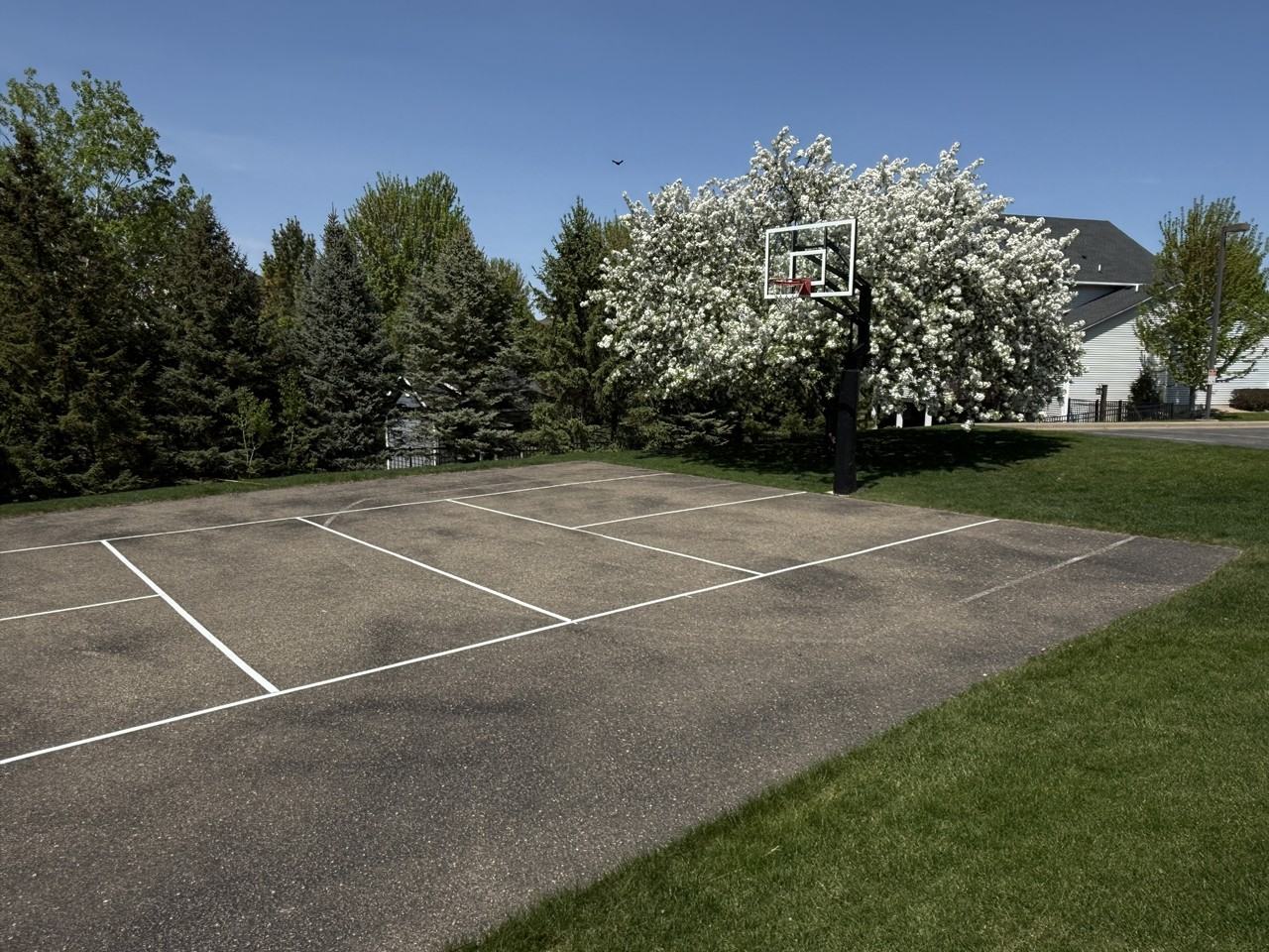 11615 Prospect Curv #WB11 - Photo 6 of 25