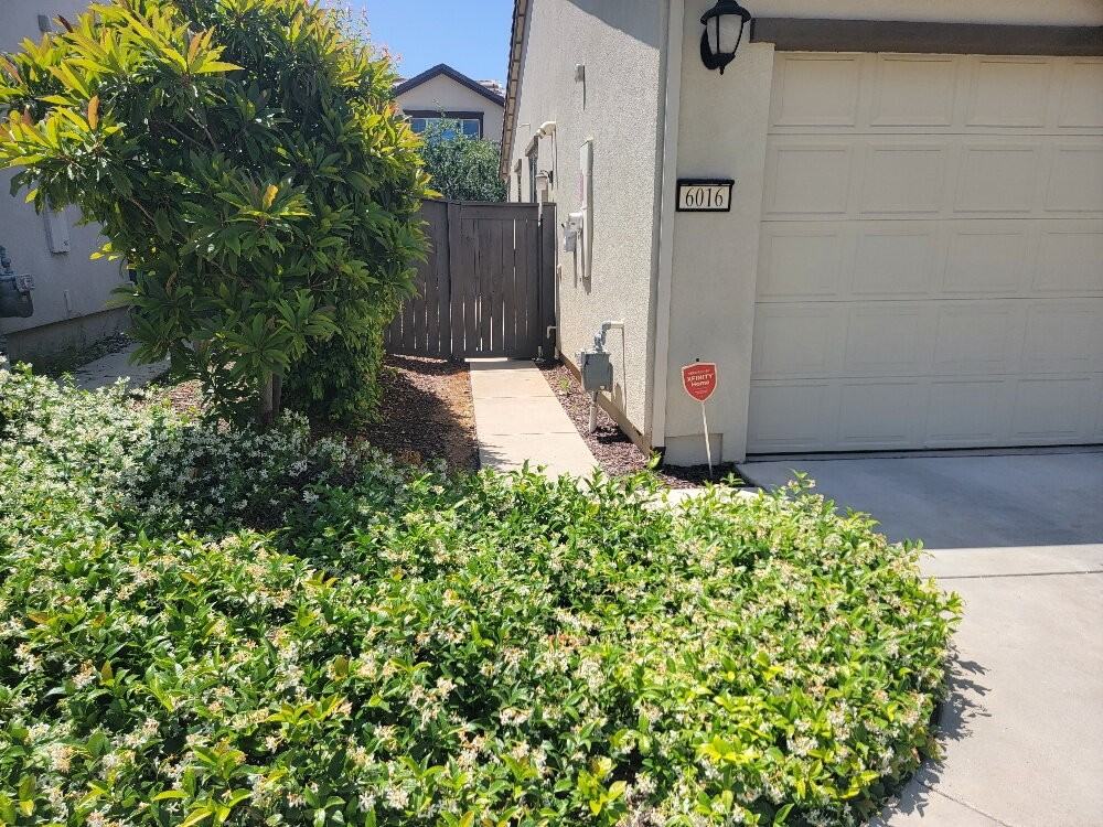 6016 Terra Ln - Photo 2 of 35