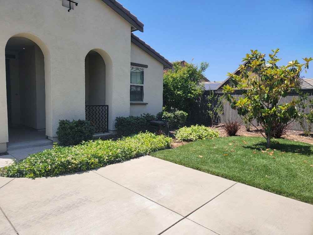 6016 Terra Ln - Photo 4 of 35