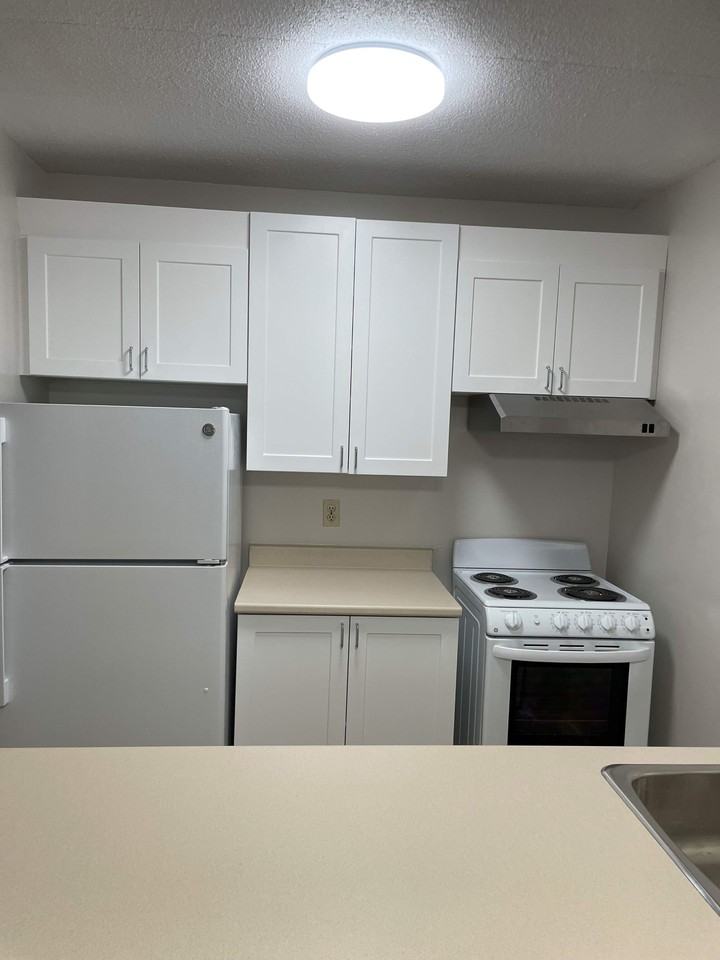 746 Laflin - Photo 2 of 15