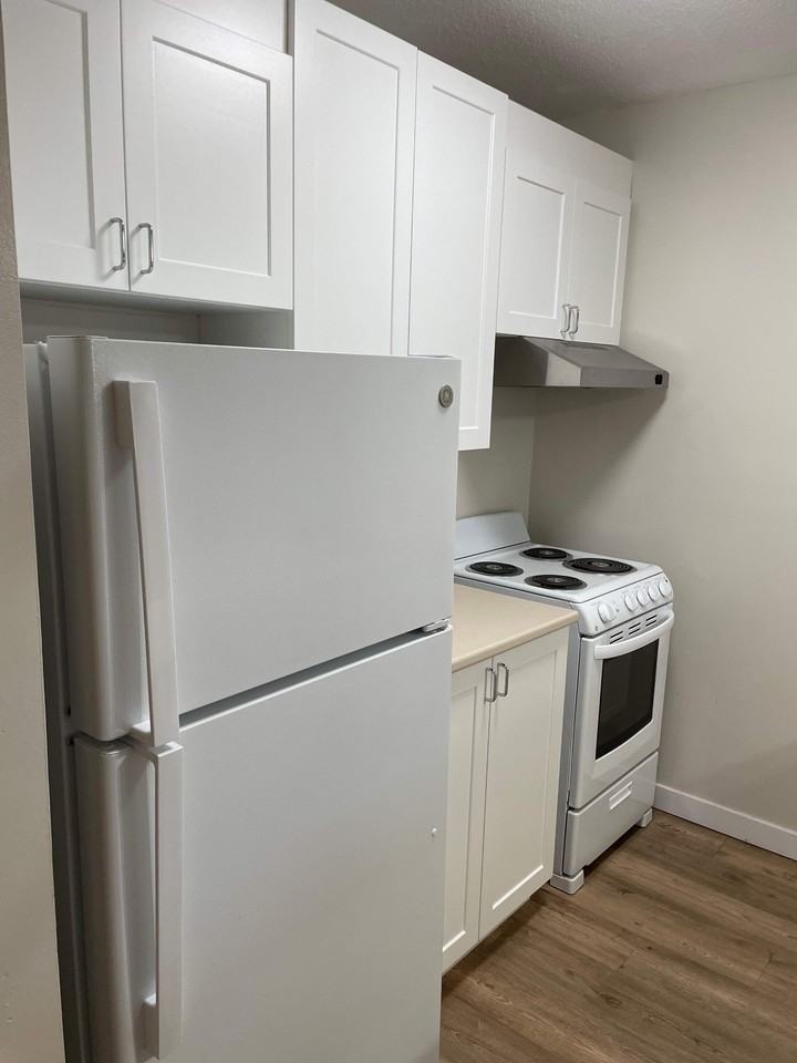 746 Laflin - Photo 5 of 15