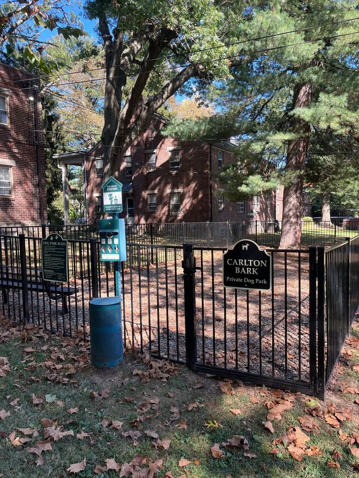 2825 W Queen Ln #B - Photo 3 of 50