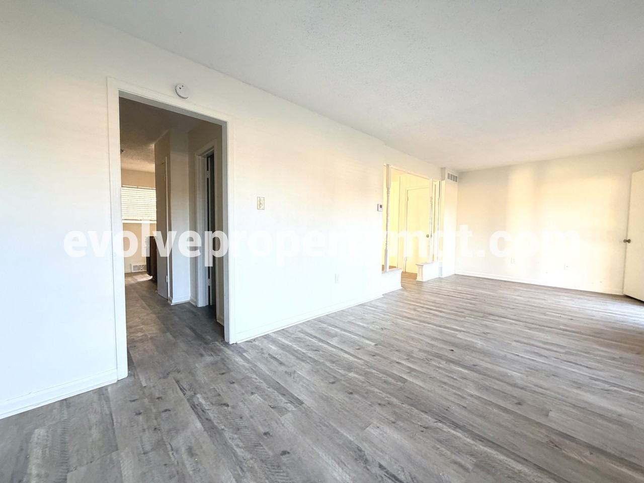 3886 Camelia Cv - Photo 5 of 21