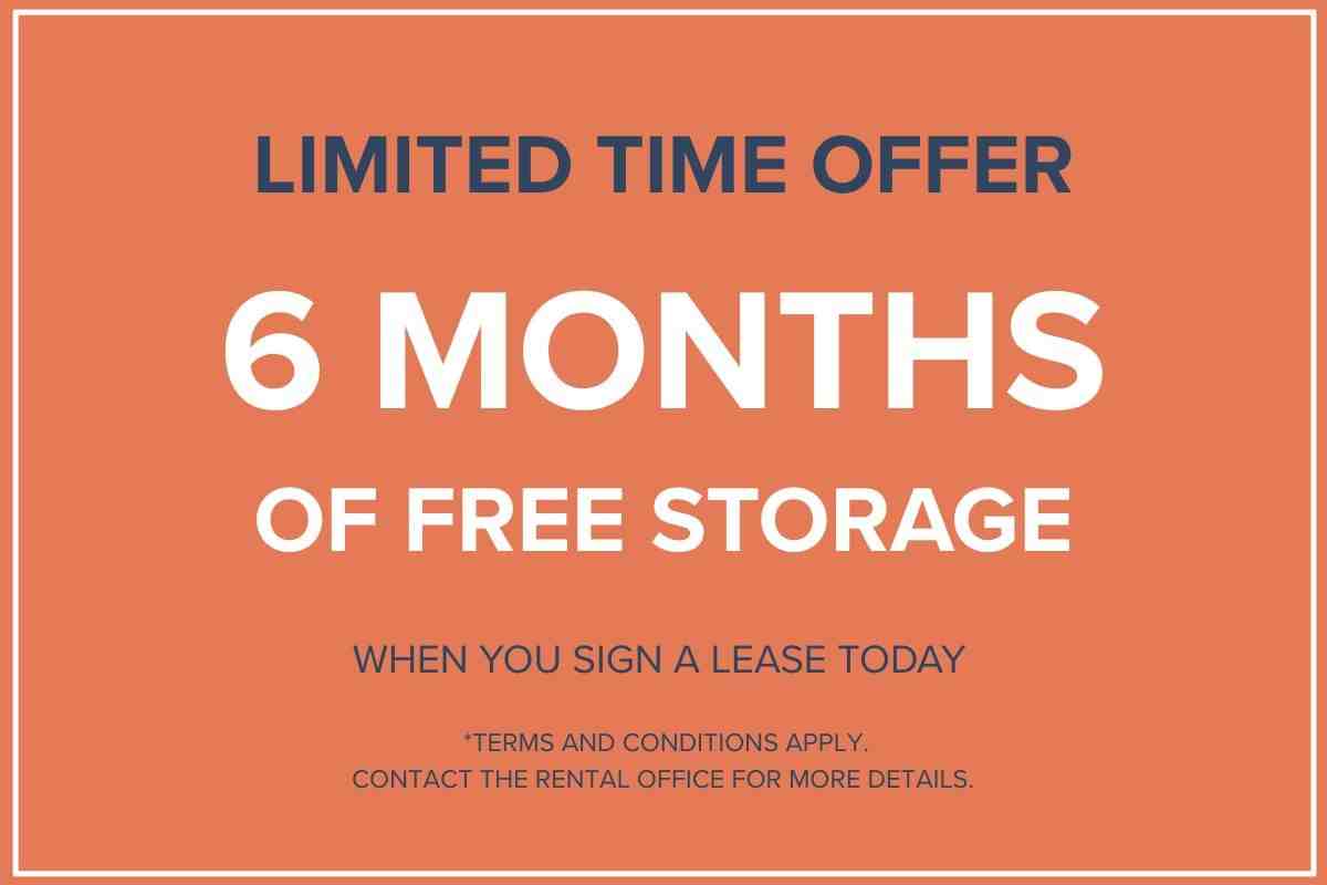 1123-1131 Royal York Road Apartments - Photo 4 of 39