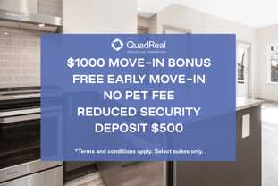 The Saint George - Photo 1 of 1