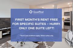 The Mansions - Photo 1 of 1