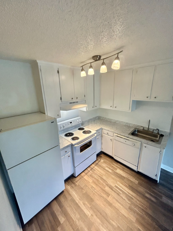 1005 Hickory Hill Ln #B104 - Photo 7 of 12