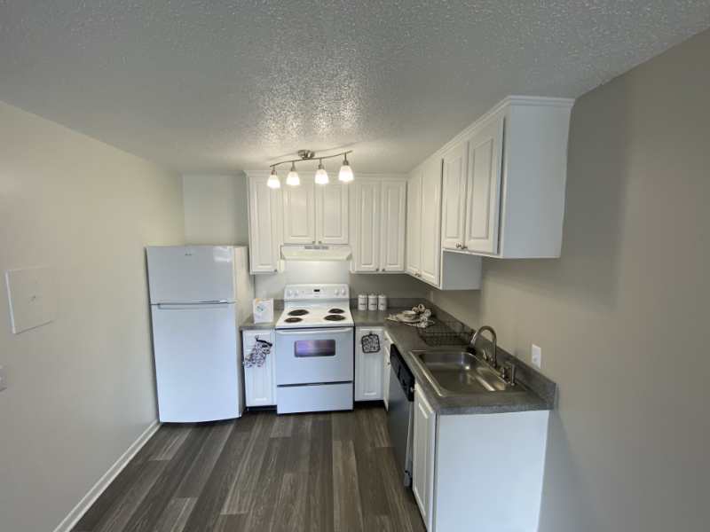 1005 Hickory Hill Ln #B204 - Photo 3 of 14