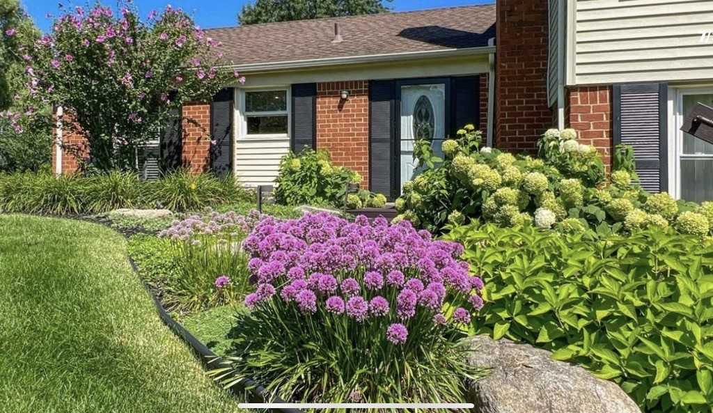 5285 Hardwoods Dr #NA - Photo 4 of 17