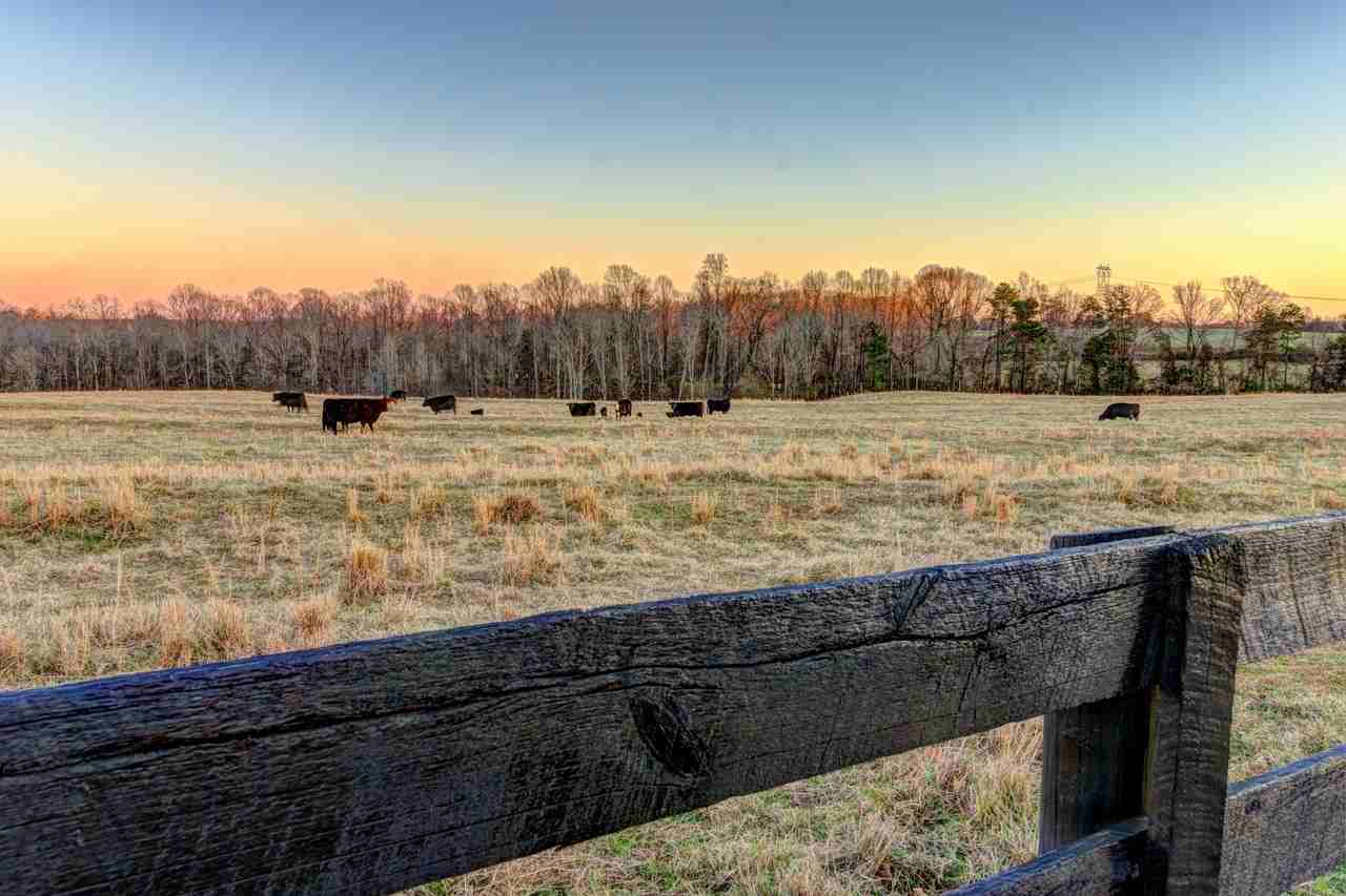 2210 Stony Point Rd #1 - Photo 3 of 30