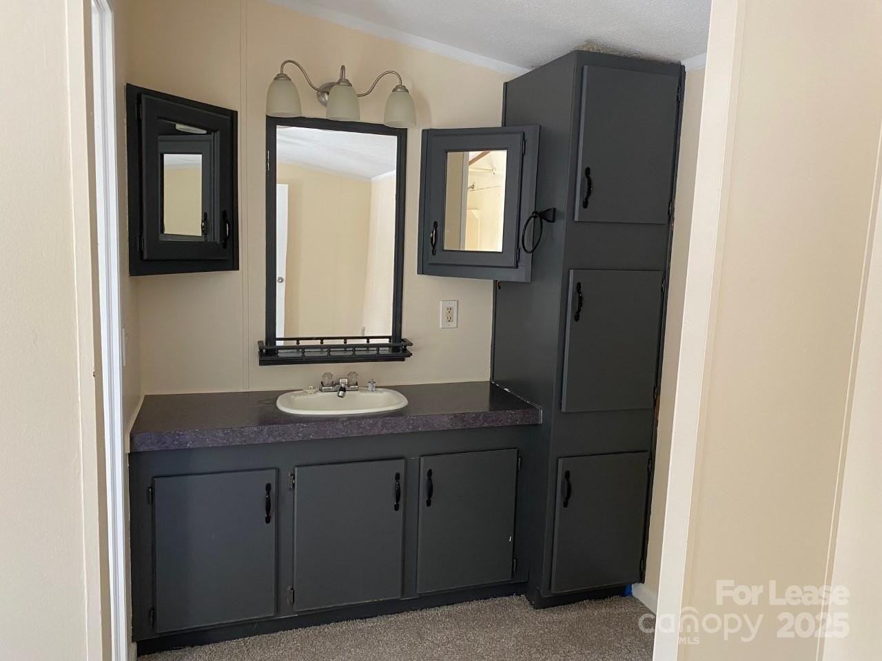 116 Tulip Tree Ct - Photo 6 of 10