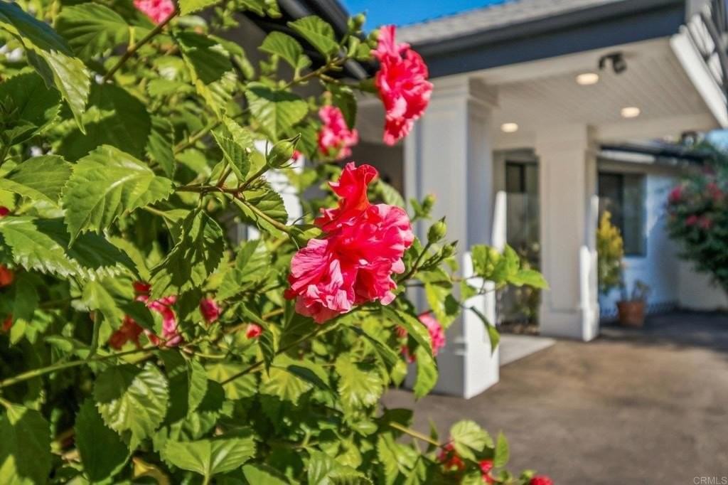 1051 Via Rancho Pkwy - Photo 5 of 50