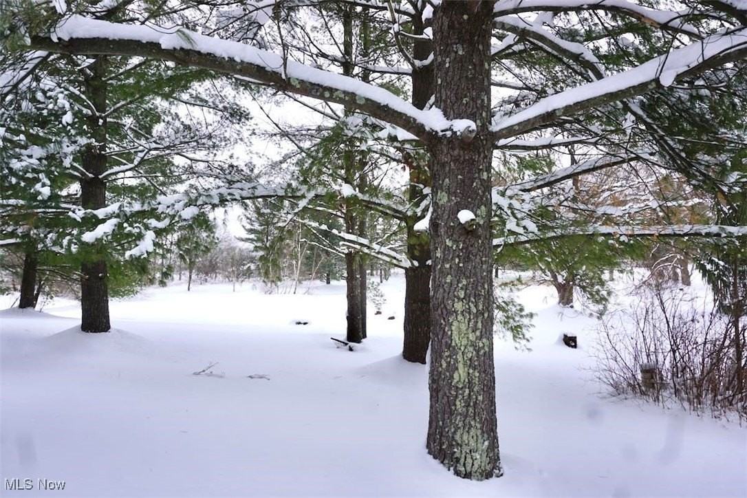 14543 Ensign Rd - Photo 2 of 42