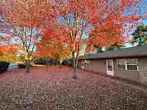 1824 Adams Ln Apt 3 #3 - Photo 1 of 1