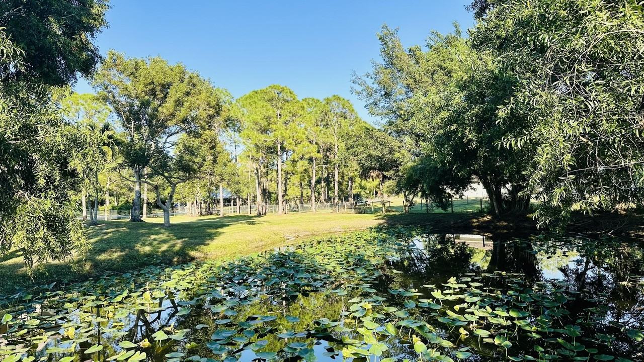 12816 67th St N - Photo 7 of 34