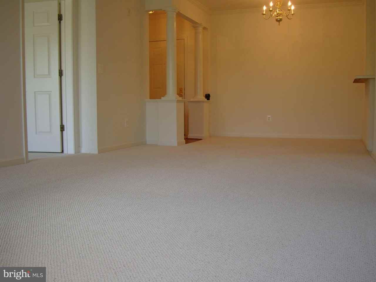 7000 Falls Reach Dr Apt 309 #309 - Photo 2 of 7