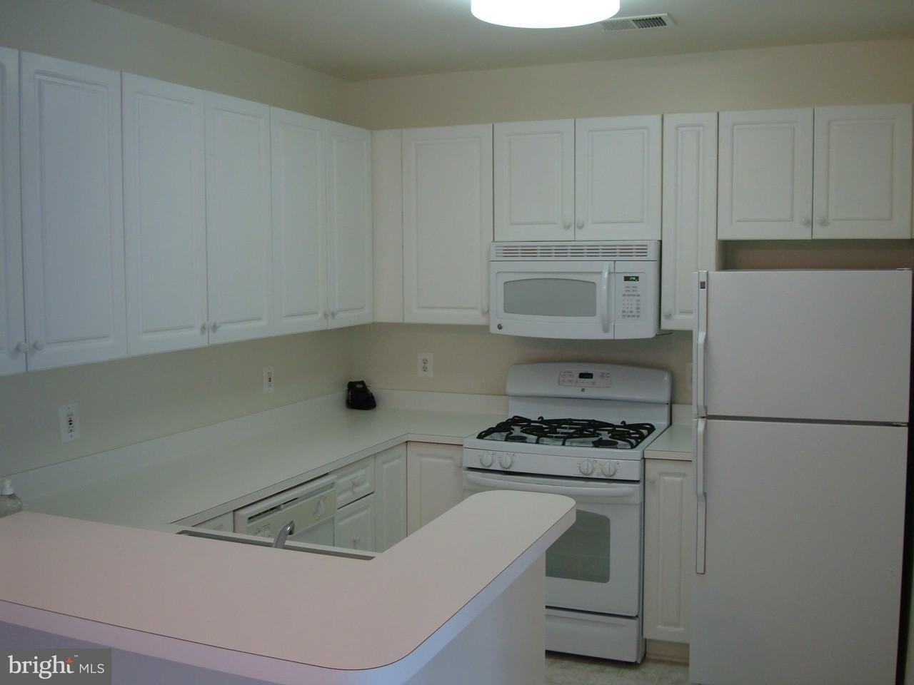 7000 Falls Reach Dr Apt 309 #309 - Photo 3 of 7