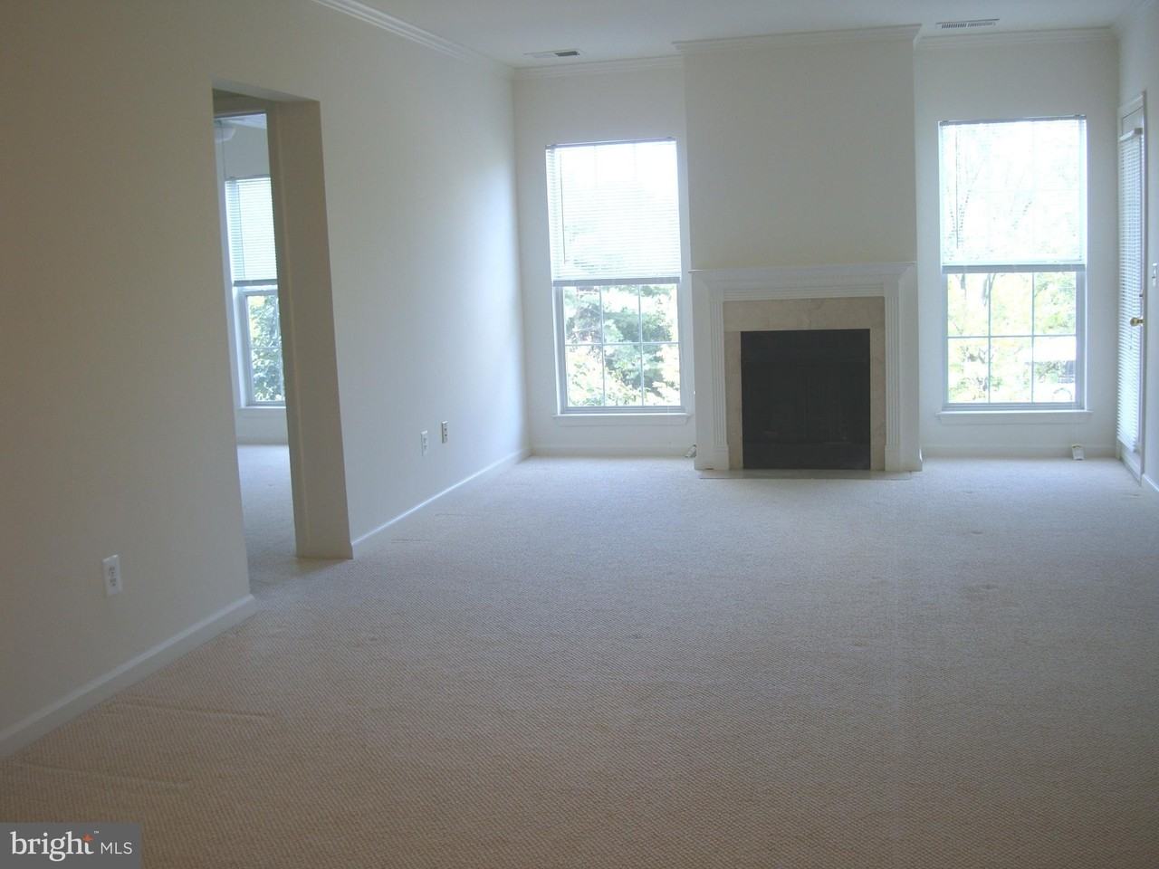 7000 Falls Reach Dr Apt 309 #309 - Photo 4 of 7