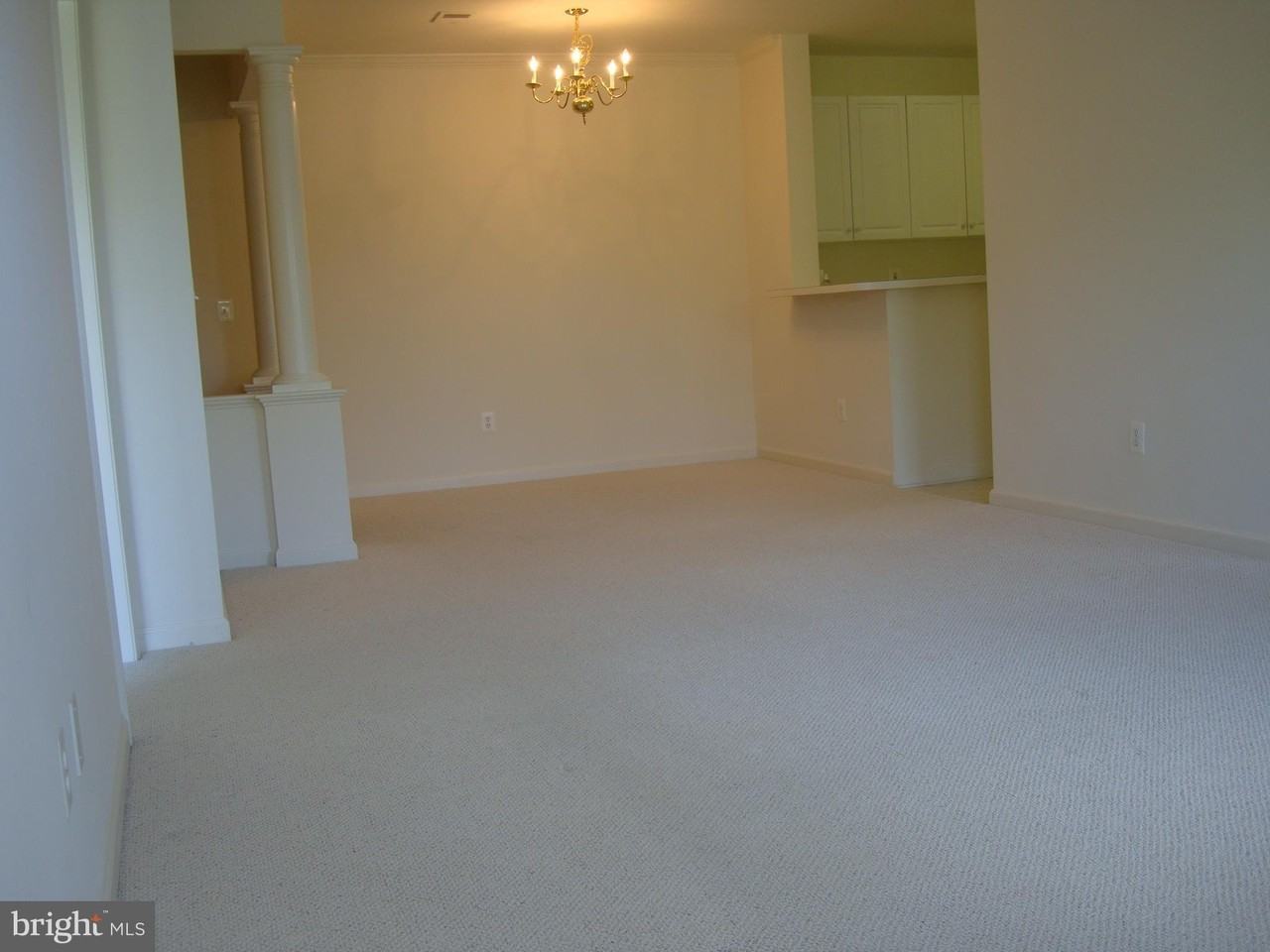 7000 Falls Reach Dr Apt 309 #309 - Photo 5 of 7