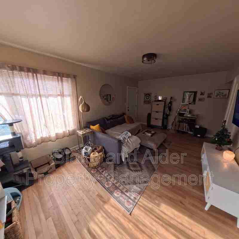 1333 N Alberta St - Photo 2 of 19