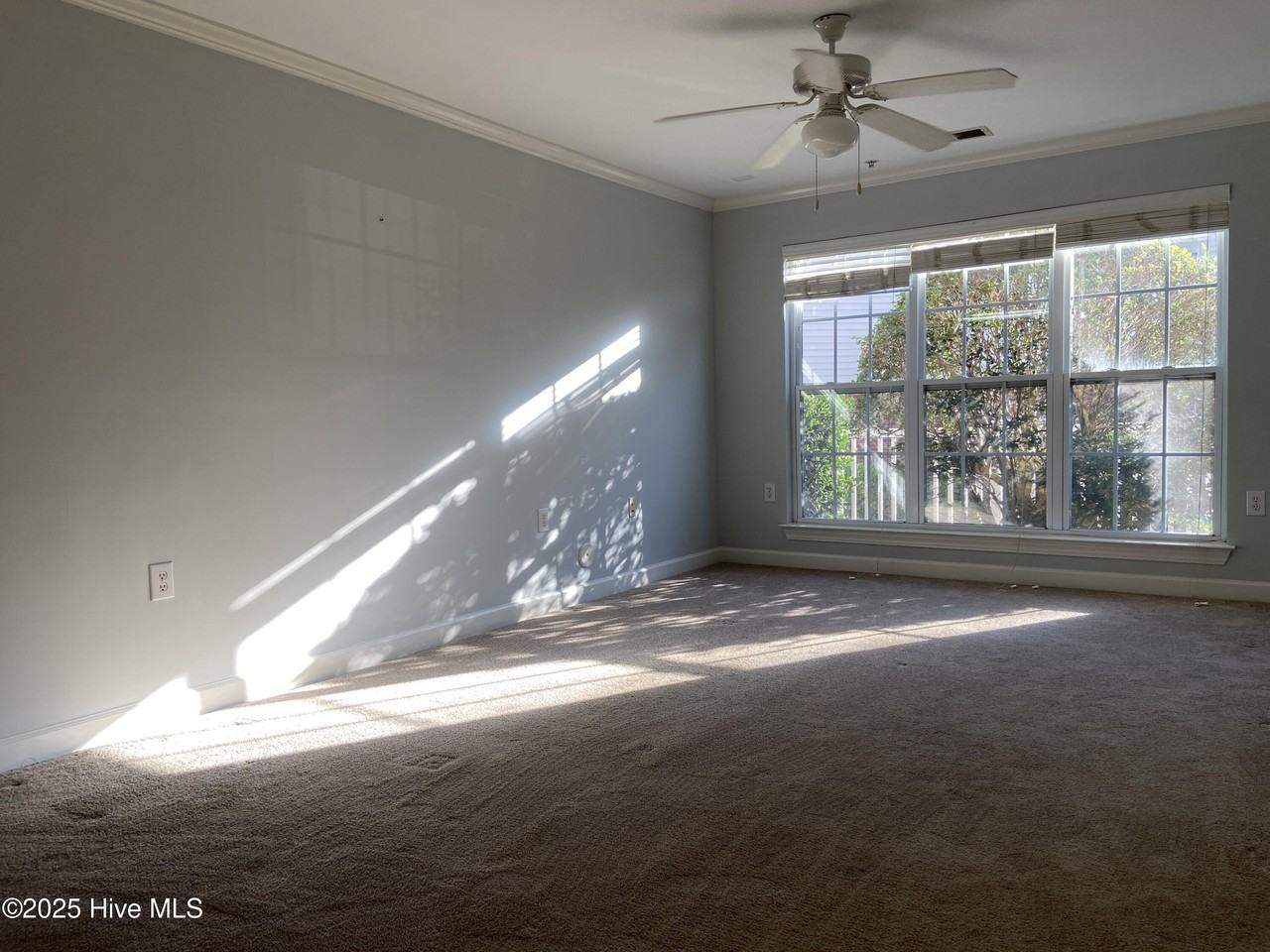 2801 Bloomfield Ln Unit 103 #103 - Photo 6 of 33