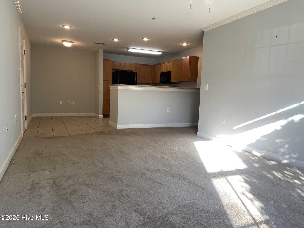 2801 Bloomfield Ln Unit 103 #103 - Photo 7 of 33