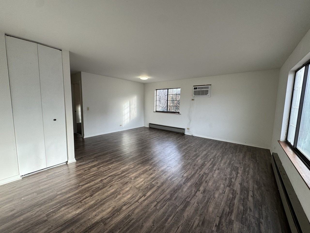 901 E Chicago Ave Apt 2e #2E - Photo 3 of 8