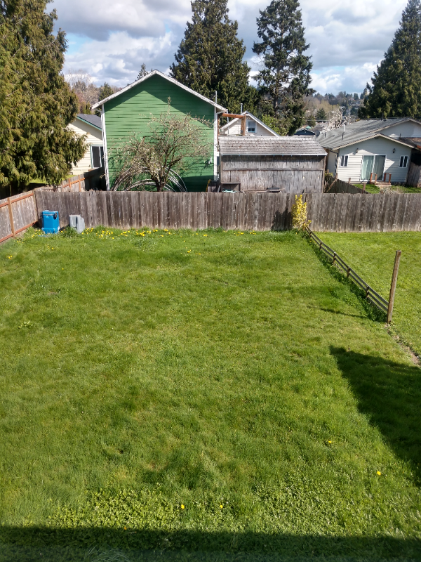 834 4th Ave N - Photo 5 of 11