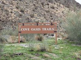 featured image of 54035 Avenida Martinez