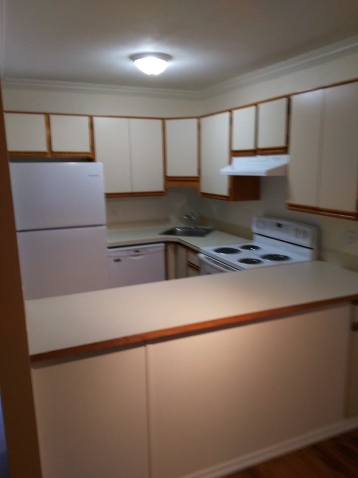 12000 First Avenue #250 - Photo 3 of 14