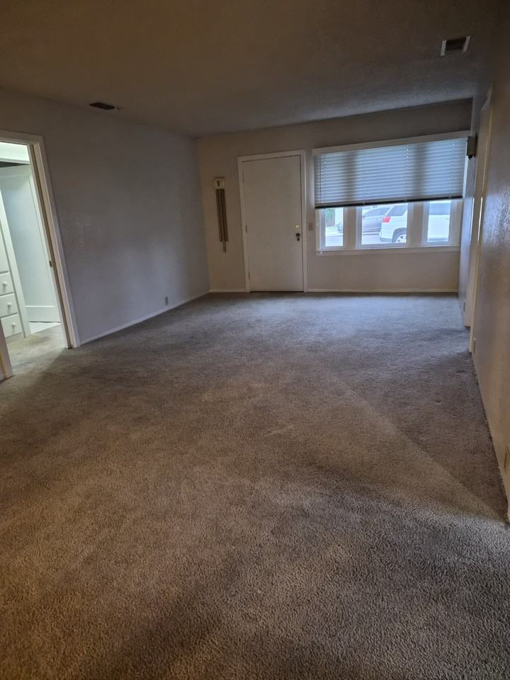 1059 S Rupert Ave #1 - Photo 6 of 16