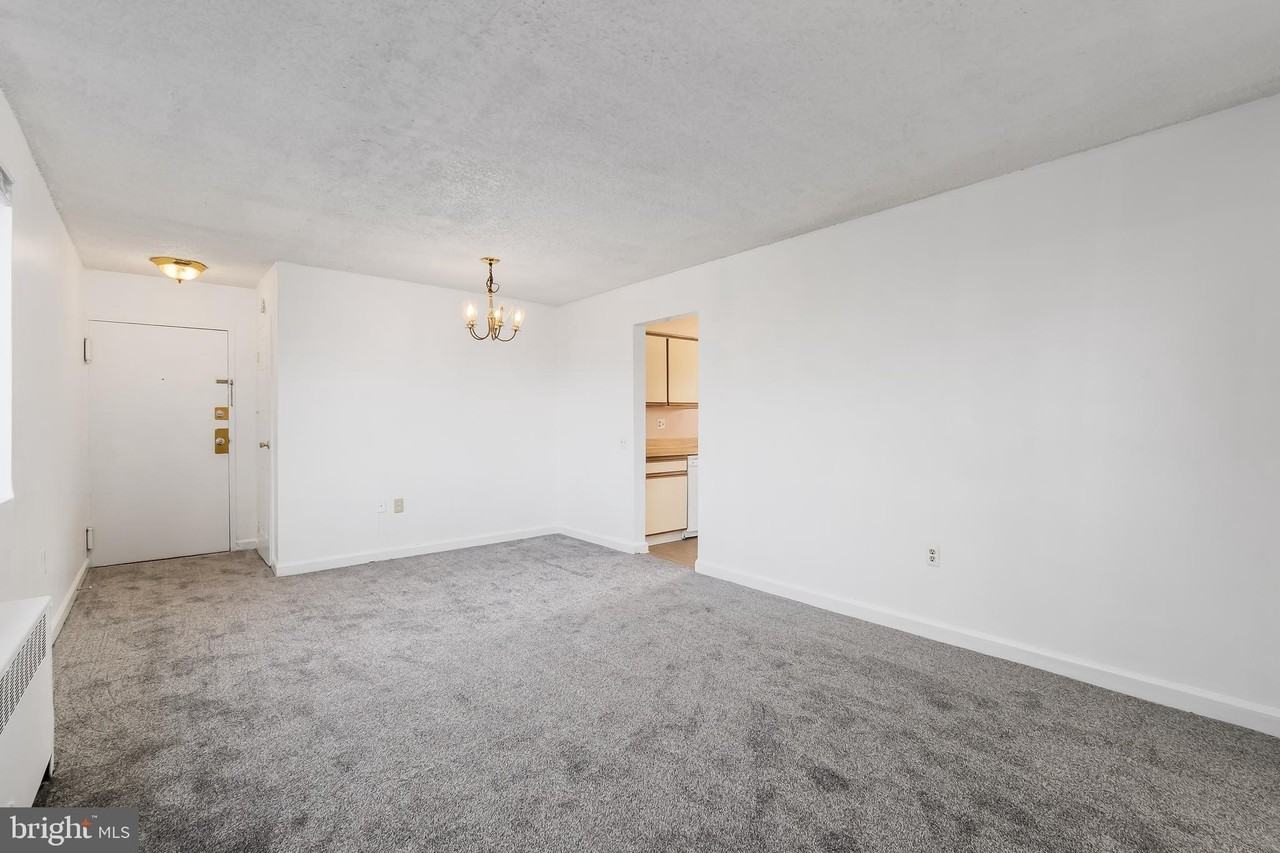 4717 1st St Sw Apt 303 #303 - Photo 4 of 16