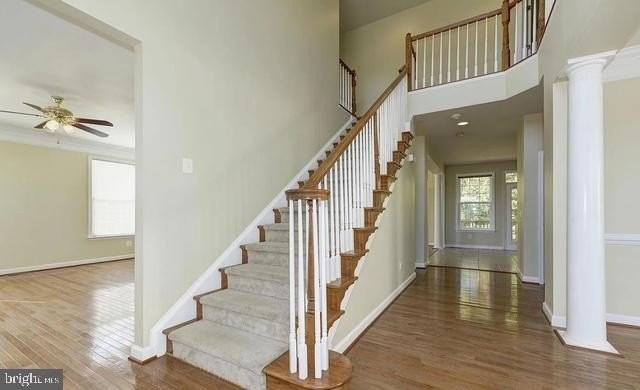 4222 Talon Dr - Photo 5 of 15