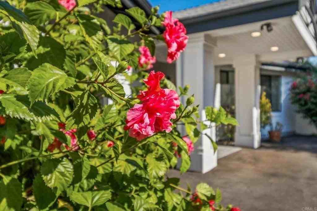 1051 Via Rancho Pkwy - Photo 5 of 50