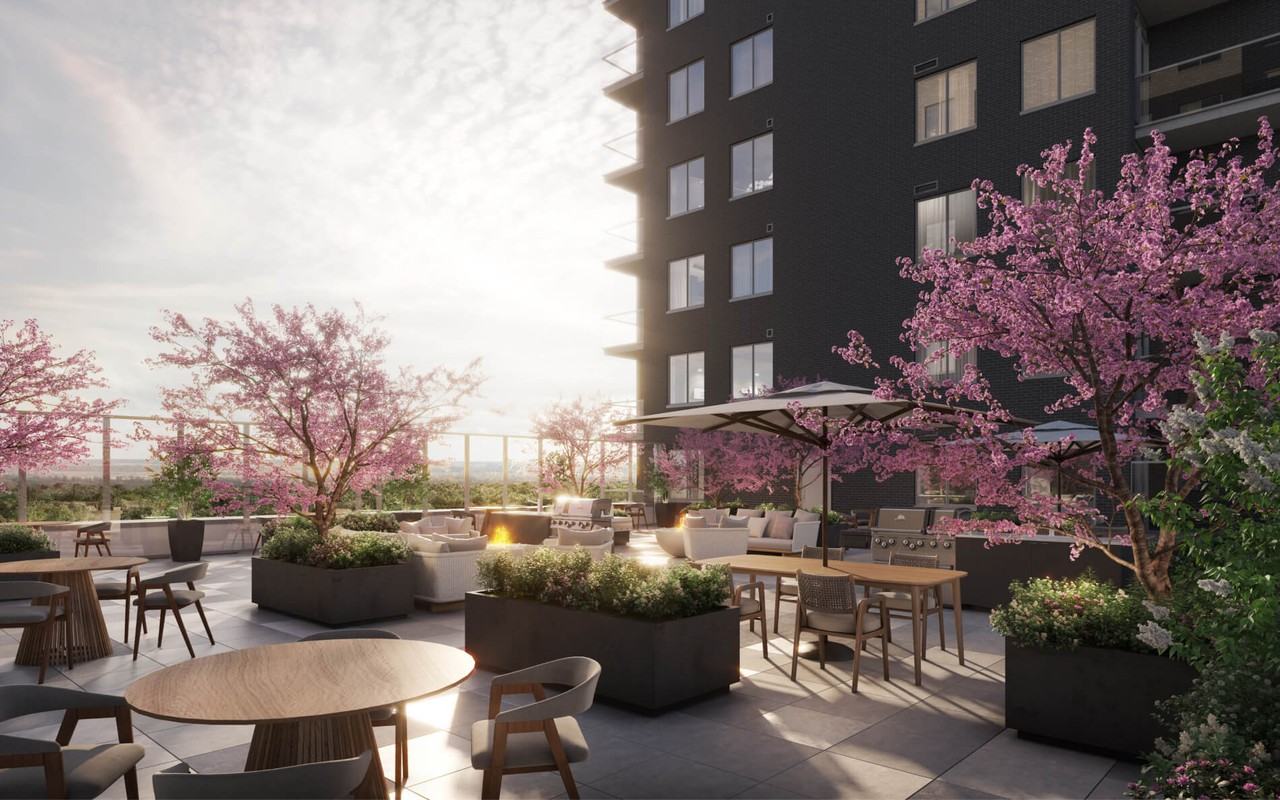 1655 Carling Avenue #810 - Photo 3 of 11