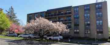 featured image of 500 Newfield Ave